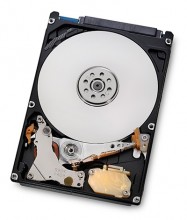 HD SATA 2,5" 1 Tera 5400RPM 5K1000-1000